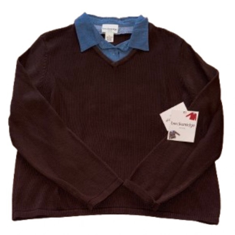 Breckenridge Dark Brown V-Neck Sweater NWT size PL